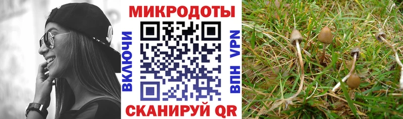 KRAKEN ONION  цена   Рузаевка  Галлюциногенные грибы GOLDEN TEACHER 